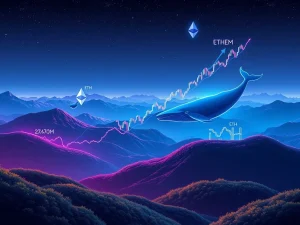 Visual representation of surging Ethereum on-chain activity and institutional buying, leading to a significant ETH price gain.