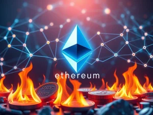 Ethereum blockchain with USDC token burn to maintain stablecoin peg