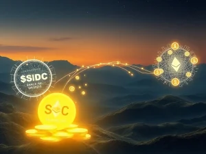 Visualizing a strategic 145M USDC transfer impacting Ethereum accumulation, highlighting institutional crypto movements.