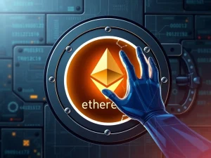 Ethereum Wallet Drain: Urgent Warning After Core Dev Loses Funds to Malicious AI Extension