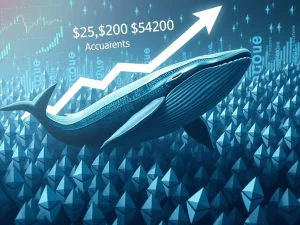 Ethereum whales actively accumulating ETH, signaling a potential ETH price surge in the crypto market.
