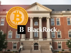 Harvard Bitcoin ETF: Historic $116M Investment Signals Major Institutional Shift