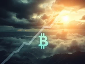 Graph showing a sharp decline for IDEX amidst crypto market volatility, symbolizing recent price drops and market turbulence.
