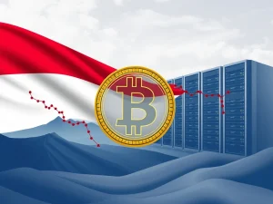 Bitcoin: Indonesia Explores Bold National Reserve Strategy