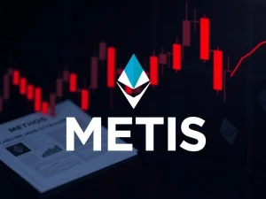 METIS cryptocurrency price crash amid DeFi regulation concerns