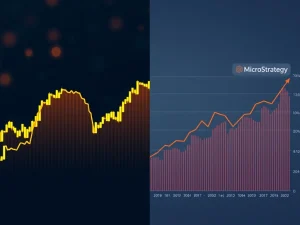 MicroStrategy Unveils Staggering $13 Billion Bitcoin Gains Amidst Stalled Revenue