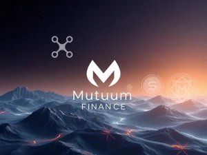 Mutuum Finance leading the DeFi space with high APY and presale growth