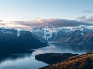 Norway Bitcoin Exposure: Unlocking Massive Indirect Crypto Investments