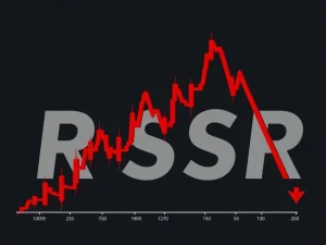 RSR token price crash amid market volatility and governance updates