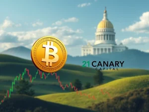 SEI ETF Race: 21Shares Challenges Canary Capital for Landmark SEC Approval