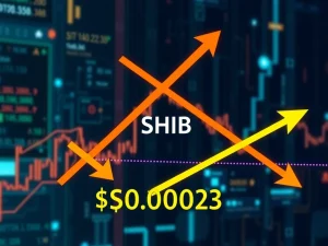 SHIB cryptocurrency chart showing symmetrical triangle pattern and potential breakout to $0.00023