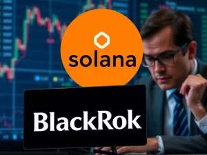 Solana ETF: Analyst Issues Controversial Warning on BlackRock's Potential Entry