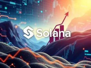A visual representation of significant Solana ETF inflows, indicating strong Solana investor interest and growth in the crypto market.