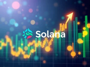 Solana ETF: Unveiling the Crucial Price Battle and Future Potential for SOL