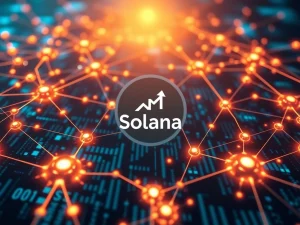 Diagram illustrating the Solana Network Upgrade to 100M compute units, symbolizing enhanced Solana Performance and reduced congestion.