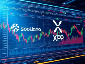 Coinbase Everything Exchange platform featuring Solana and XRP nano futures trading