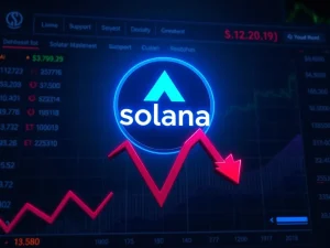 Solana price drops as key support level breaks, threatening bullish outlook