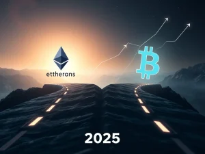 Two digital paths diverge, representing Uniswap UNI and Hyperliquid HYPE's contrasting crypto investment outlooks for 2025.