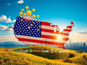US Crypto: The Boom as Companies Return and Regulations Clear