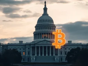 A secure vault representing US Government Bitcoin holdings, emphasizing no recent sales and market stability for Bitcoin News Today.