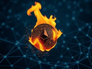 A visual representation of a significant USDC burn on the Ethereum blockchain, illustrating strategic crypto supply management and stablecoin stability.