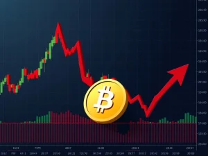 Webull stock plunges amid crypto reentry uncertainty