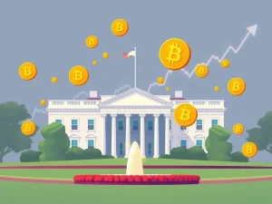 White House Bitcoin investment with bullish market trend
