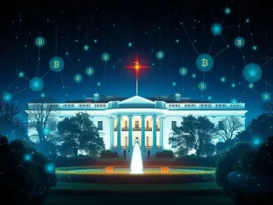 White House's 2025 Digital Asset Strategy revolutionizing crypto innovation