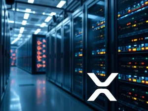 XRP Cloud Mining in 2025: Unveiling the Dangerous Truth Behind Passive Income Promises