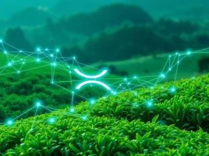 A visual metaphor for the XRP Ledger facilitating revolutionary agribusiness credit tokenization in Brazil, showcasing digital finance intersecting with agriculture.