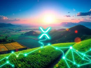 An illustration of digital tokens representing agribusiness receivables flowing across the XRP Ledger, symbolizing the groundbreaking tokenization of real-world assets in Brazil's private credit market.