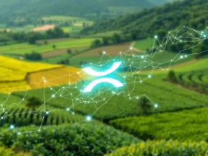 XRP Ledger powering the modernization of Brazil's tokenized agribusiness credit market.