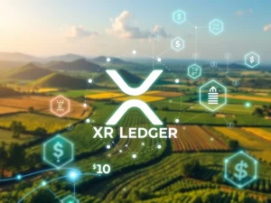 The XRP Ledger logo overlaying a digital representation of Brazil's agribusiness, symbolizing the tokenization of real-world assets.