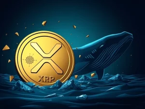 XRP price crashing with whale activity in the background