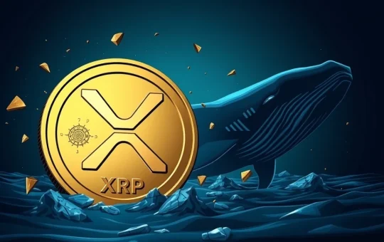 XRP price crashing with whale activity in the background