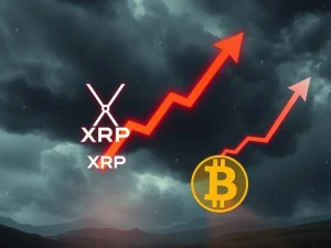 Chart showing a dramatic drop in XRP price while Bitcoin recovers, illustrating crypto market volatility.