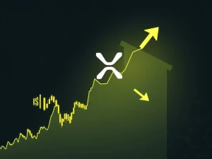 A dramatic chart depicting a sharp XRP price drop, illustrating the market's reaction to the significant Chris Larsen XRP transfer.