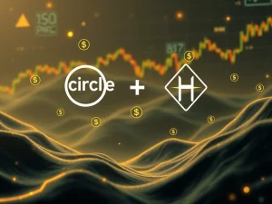 Circle's Strategic Crypto Investment Fuels Hyperliquid, Elevating Stablecoin Competition