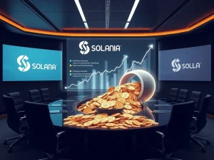 DeFi Development Corp's Solana Treasury **Surges** Past $400M with Massive SOL Investment
