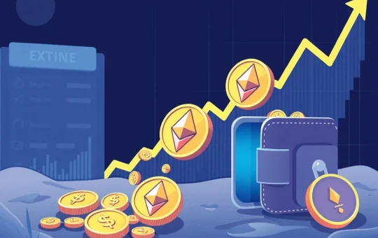 Historic Ethereum Price Alert: ETH Exchange Flux Signals Massive Accumulation
