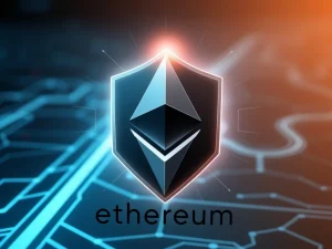 Ethereum Privacy Unveiling: A Crucial Roadmap for Digital Freedom