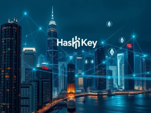 HashKey Fund: Hong Kong Unveils Landmark $500M Digital Asset Treasury Initiative