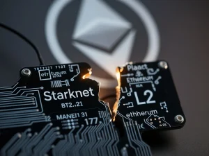 Starknet's Troubling Second Mainnet Outage Sparks Ethereum L2 Reliability Fears
