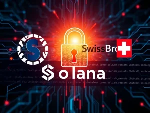 Critical SwissBorg Solana Hack: $41M Lost via Third-Party API Compromise