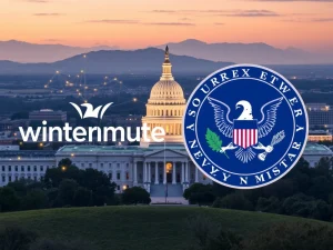 Crucial Call: Wintermute Urges SEC to Clarify Network Token Status