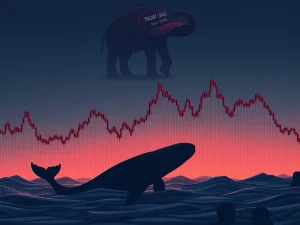WLFI Token: Shocking Losses as Whales Face 40% Dip Despite Burn