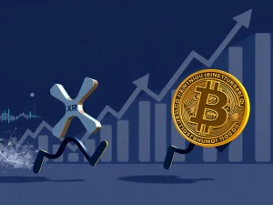 XRP: Unlocking Massive Potential to Outperform Bitcoin This Bull Cycle