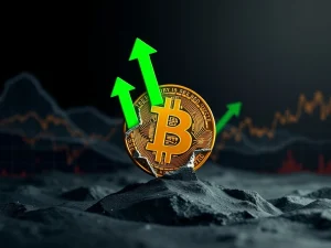 Bitcoin Crash: Unveiling the Resilient Market Reset at $104K