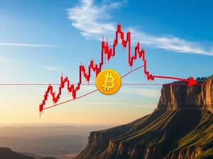 Bitcoin Price: Critical Support Levels to Avoid an Alarming 'Bear Flag' Crash