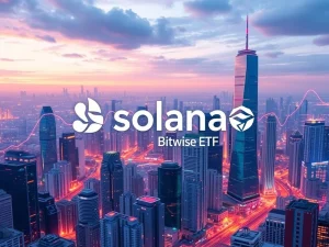 Momentous Solana ETF Debut: Bitwise Fund Attracts $223M, Signals Strong Institutional Demand